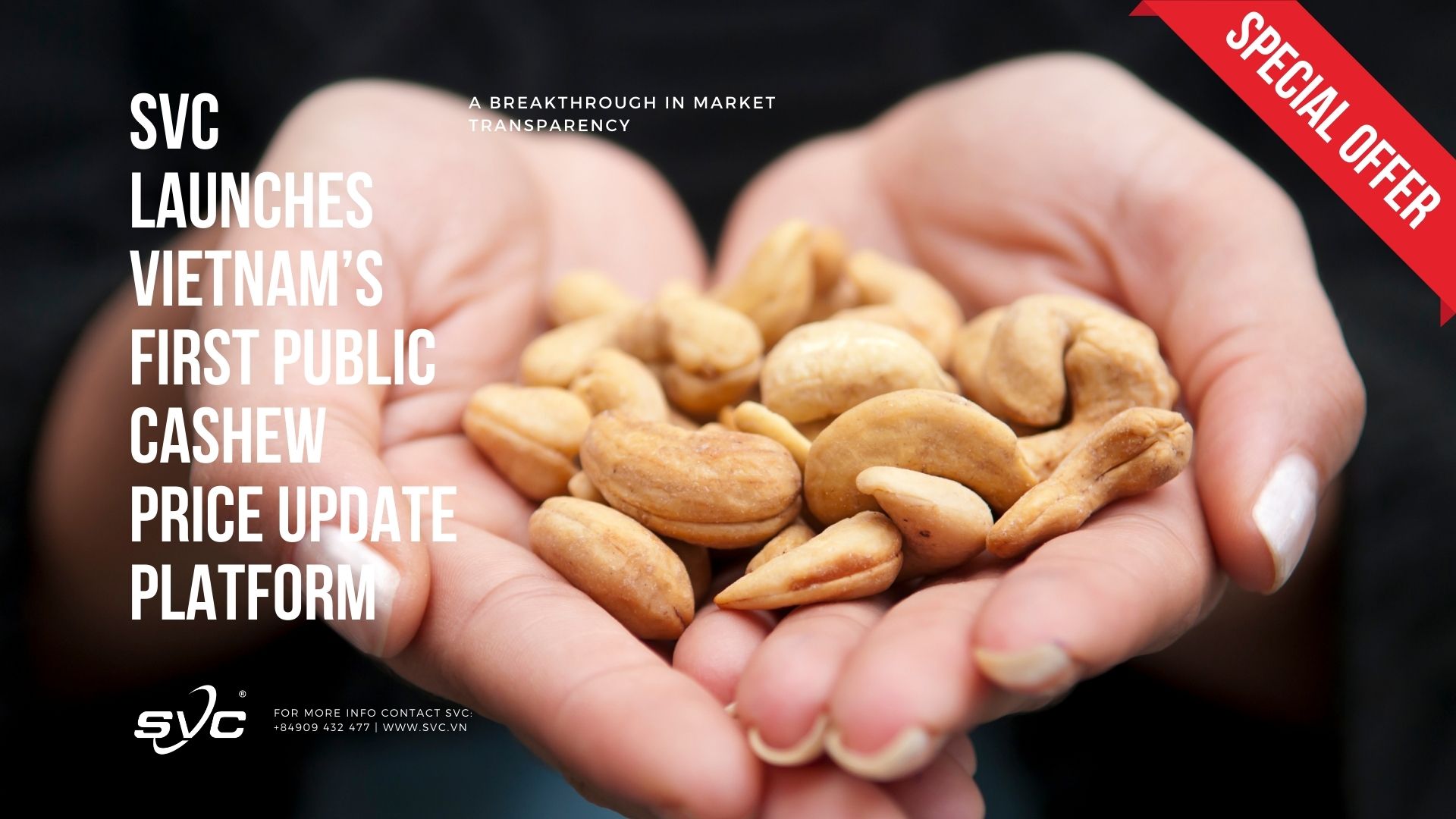 SVC Launches Vietnam’s First Public Cashew Price Update Platform – A Breakthrough in Market Transparency