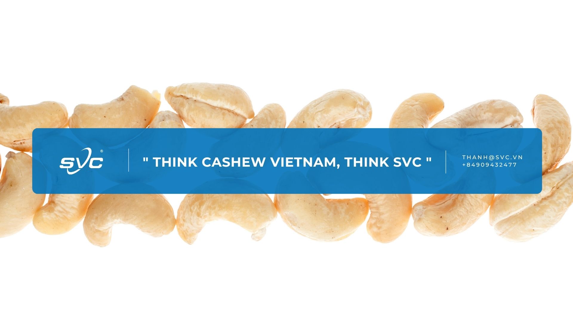 Think Cashew Vietnam, Think SVC