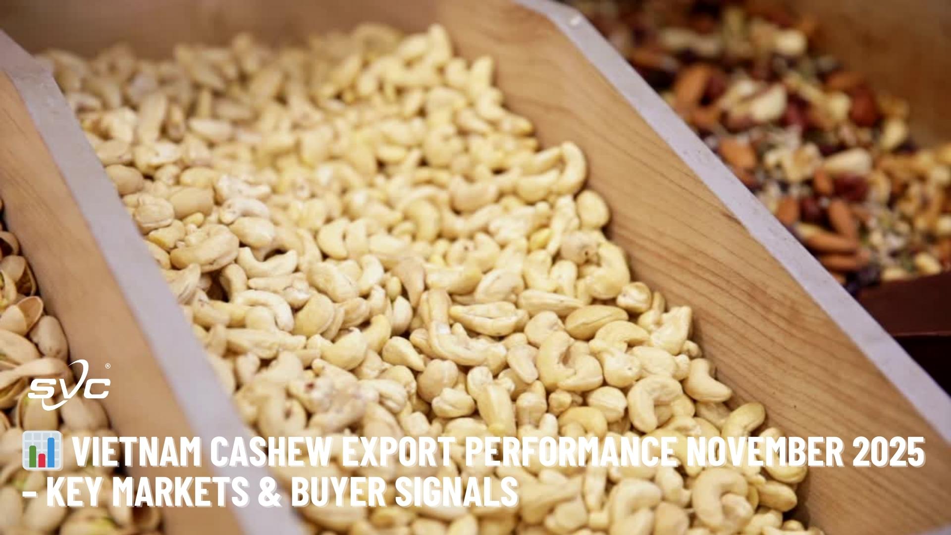 Vietnam Cashew Export Performance November 2025 – Key Markets & Buyer Signals