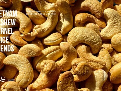 Vietnam Cashew Kernel Price Trends – WW240, WW320 & LP (Mid-November 2025 Update)