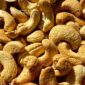 Vietnam Cashew Kernel Price Trends – WW240, WW320 & LP (Mid-November 2025 Update)