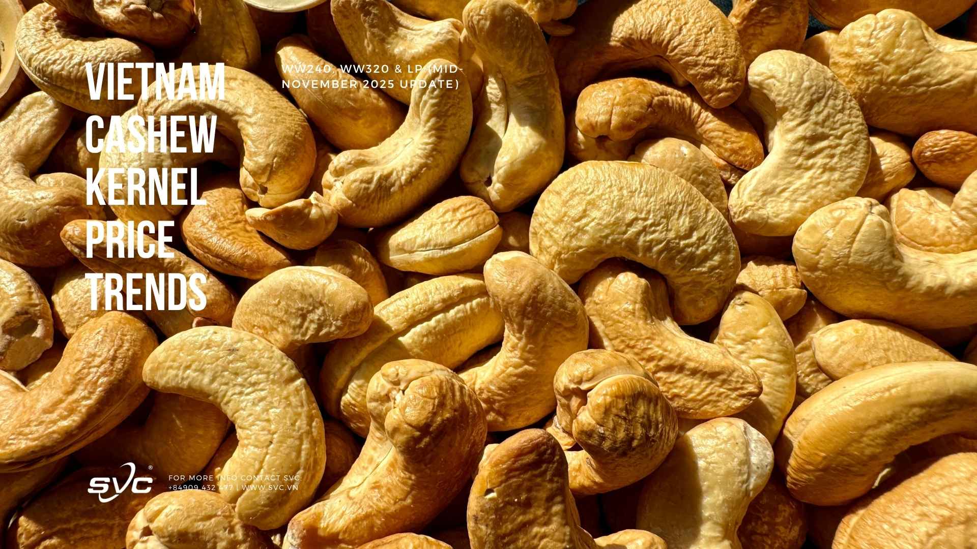 Vietnam Cashew Kernel Price Trends – WW240, WW320 & LP (Mid-November 2025 Update)