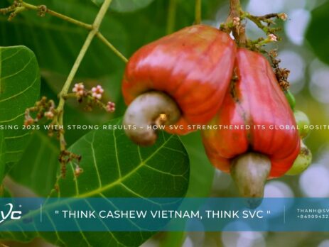 Closing 2025 with Strong Results – How SVC Strengthened Its Global Position