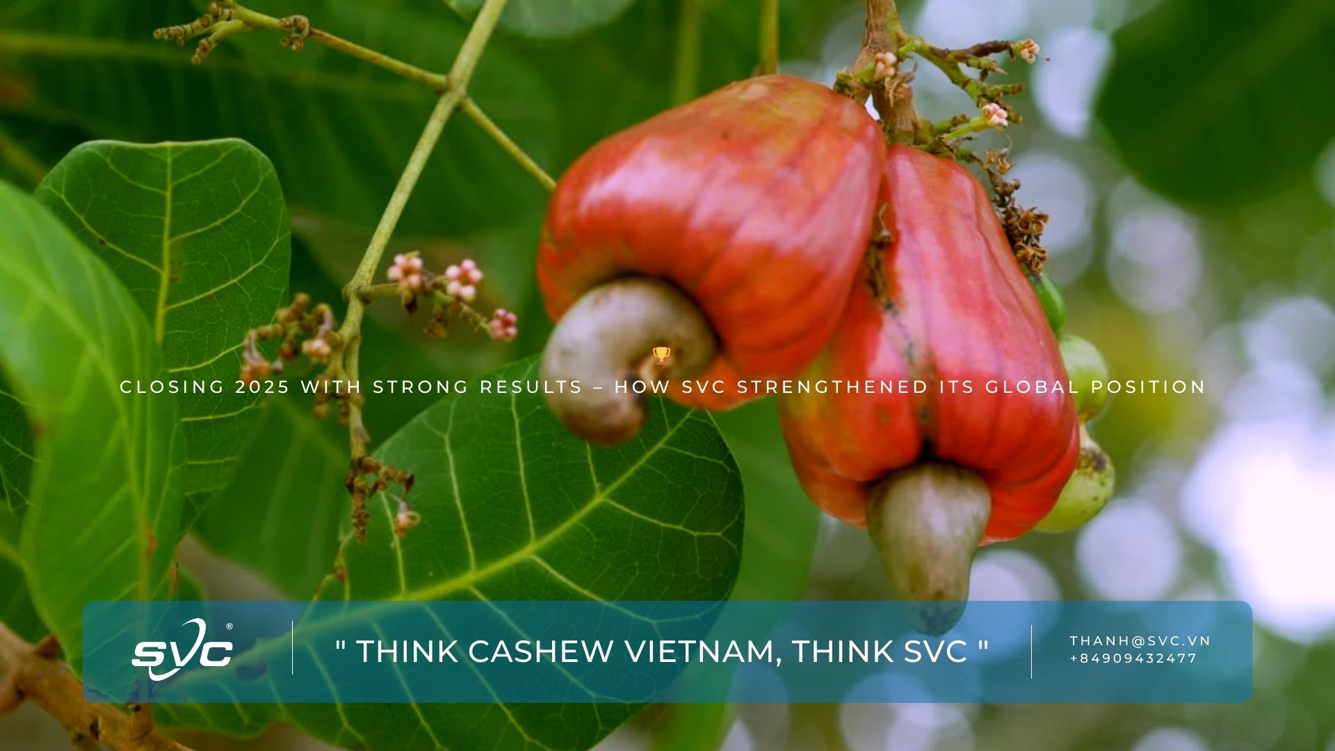 Closing 2025 with Strong Results – How SVC Strengthened Its Global Position