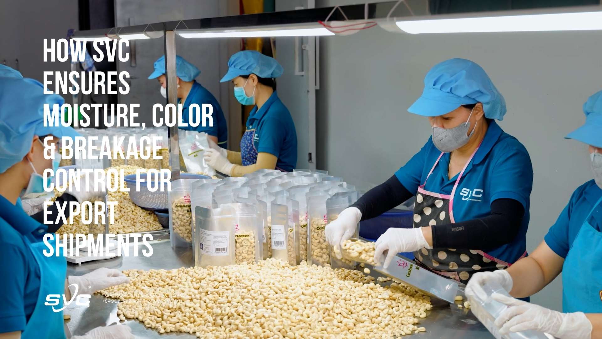 How SVC Ensures Moisture, Color & Breakage Control for Export Shipments