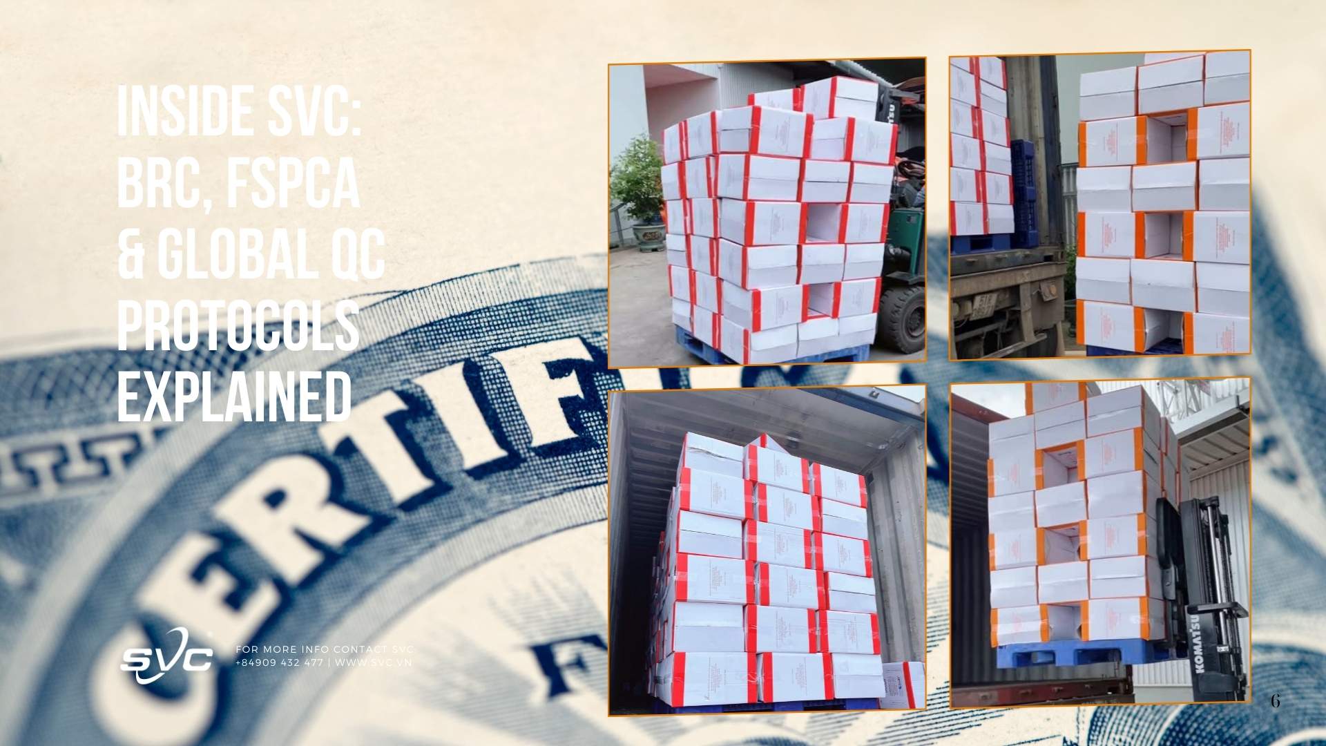 Inside SVC: BRC, FSPCA & Global QC Protocols Explained