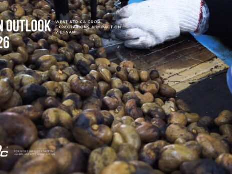 RCN Outlook 2026 – West Africa Crop Expectations & Impact on Vietnam