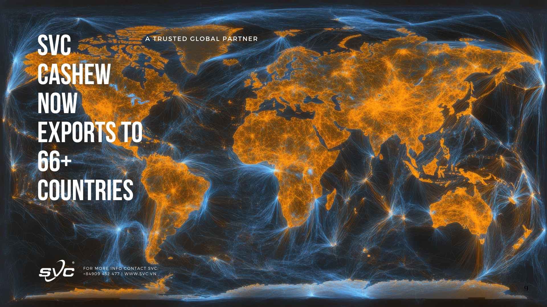 SVC Cashew Now Exports to 66+ Countries SVC Cashew Now Exports to 66+ Countries