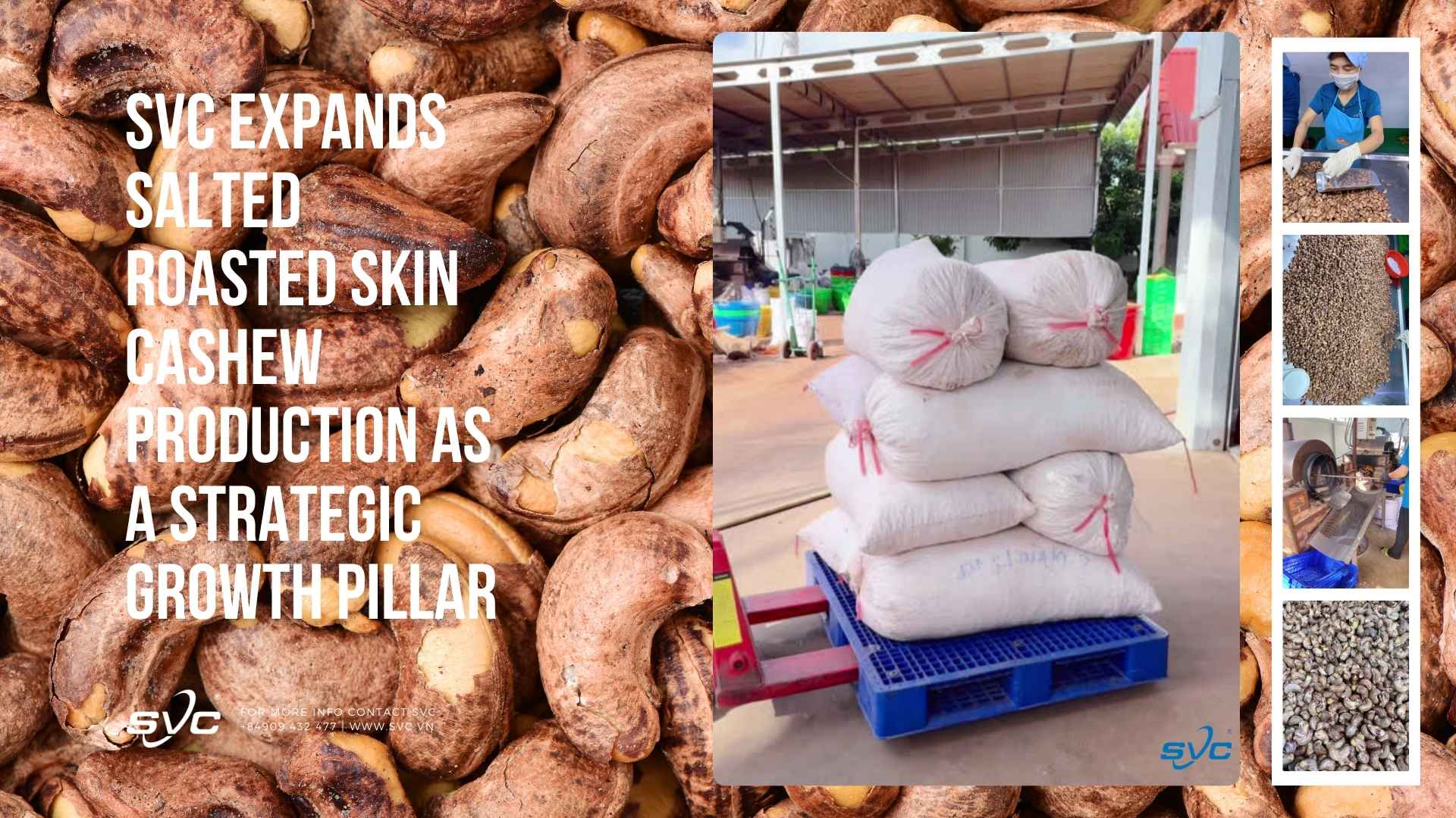 SVC Expands Salted Roasted Skin Cashew Production as a Strategic Growth Pillar