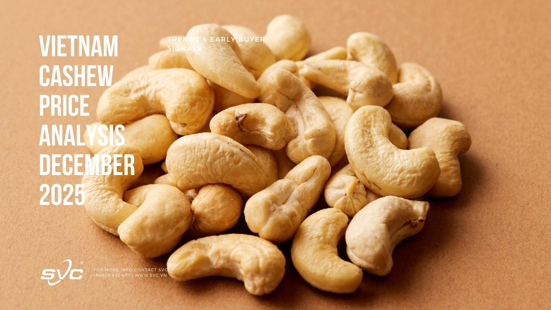 Vietnam Cashew Price Analysis December 2025 – Trends & Early Buyer Signals
