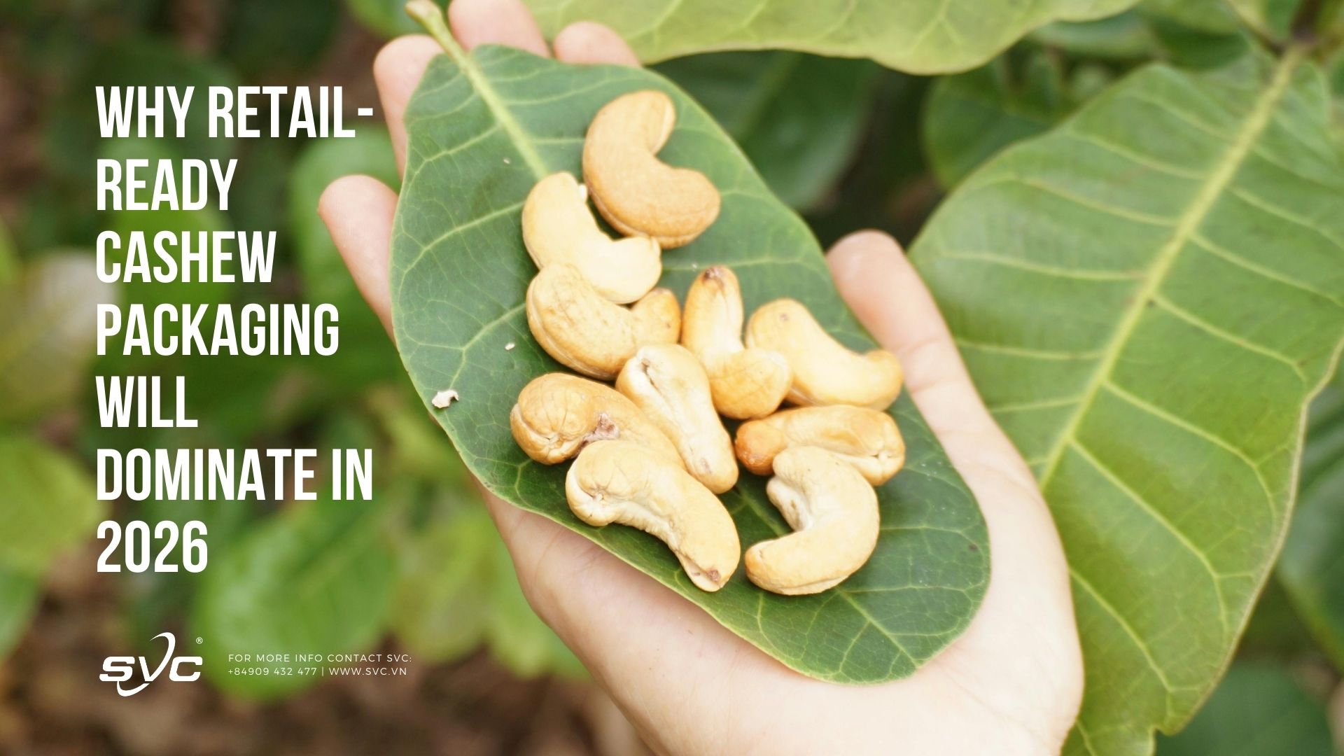 Why Retail-Ready Cashew Packaging Will Dominate in 2026