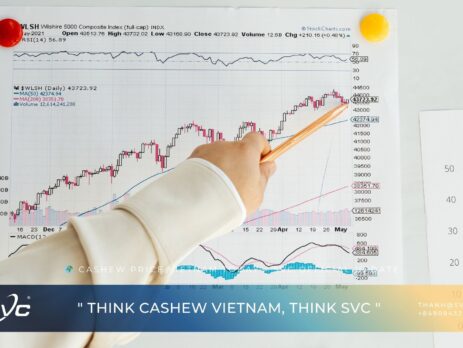 Cashew Price Vietnam Today – SVC Official Update