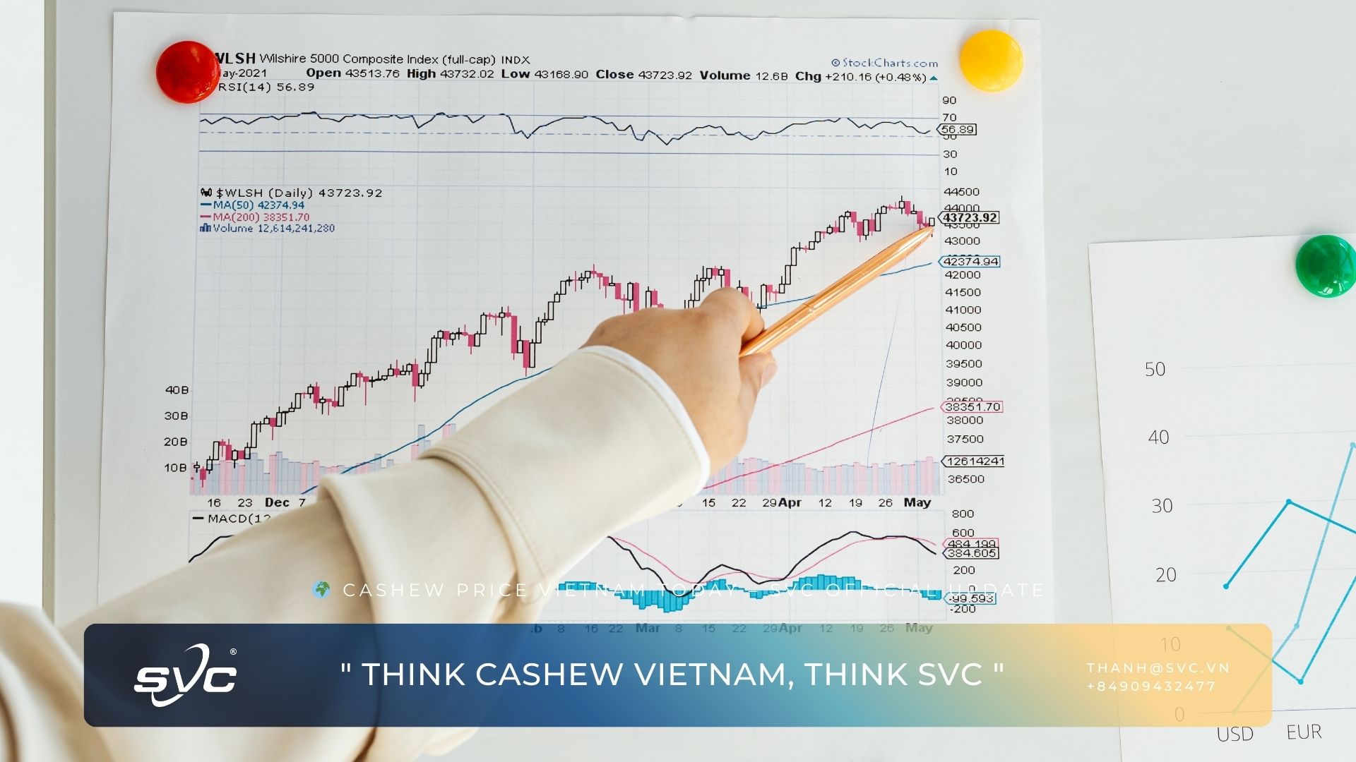 Cashew Price Vietnam Today – SVC Official Update