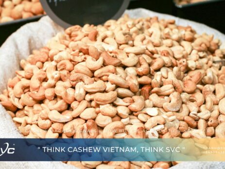 Early 2026 Cashew Market Signals – How Buyers Are Positioning After the Reset