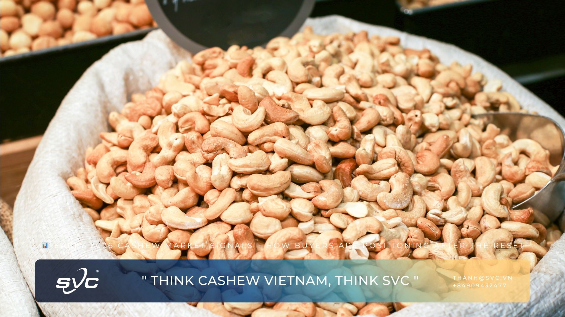 Early 2026 Cashew Market Signals – How Buyers Are Positioning After the Reset