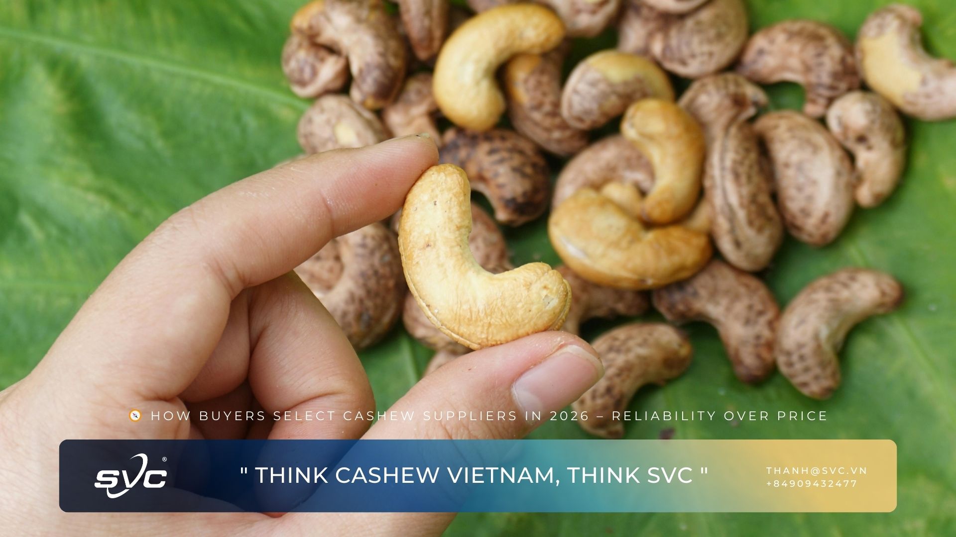 How Buyers Select Cashew Suppliers in 2026 – Reliability Over Price
