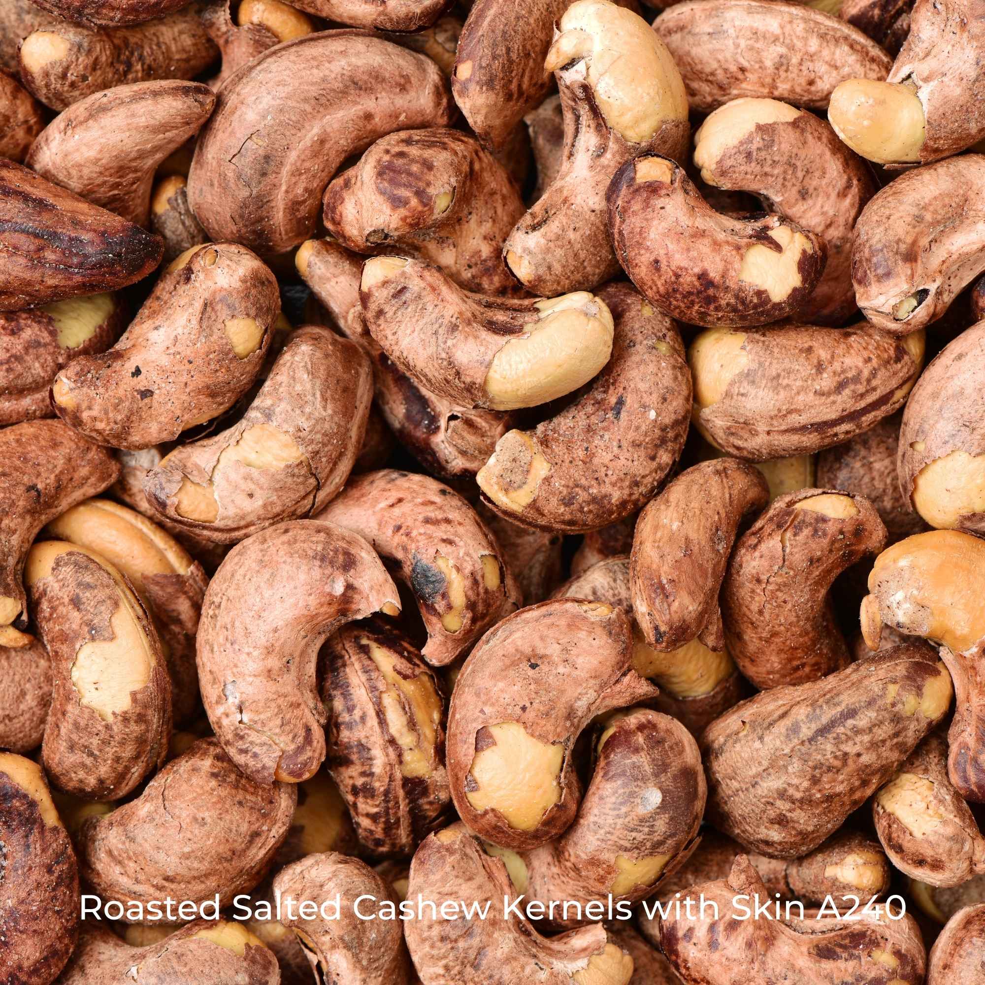 Roasted Salted Cashew Kernels with Skin A240