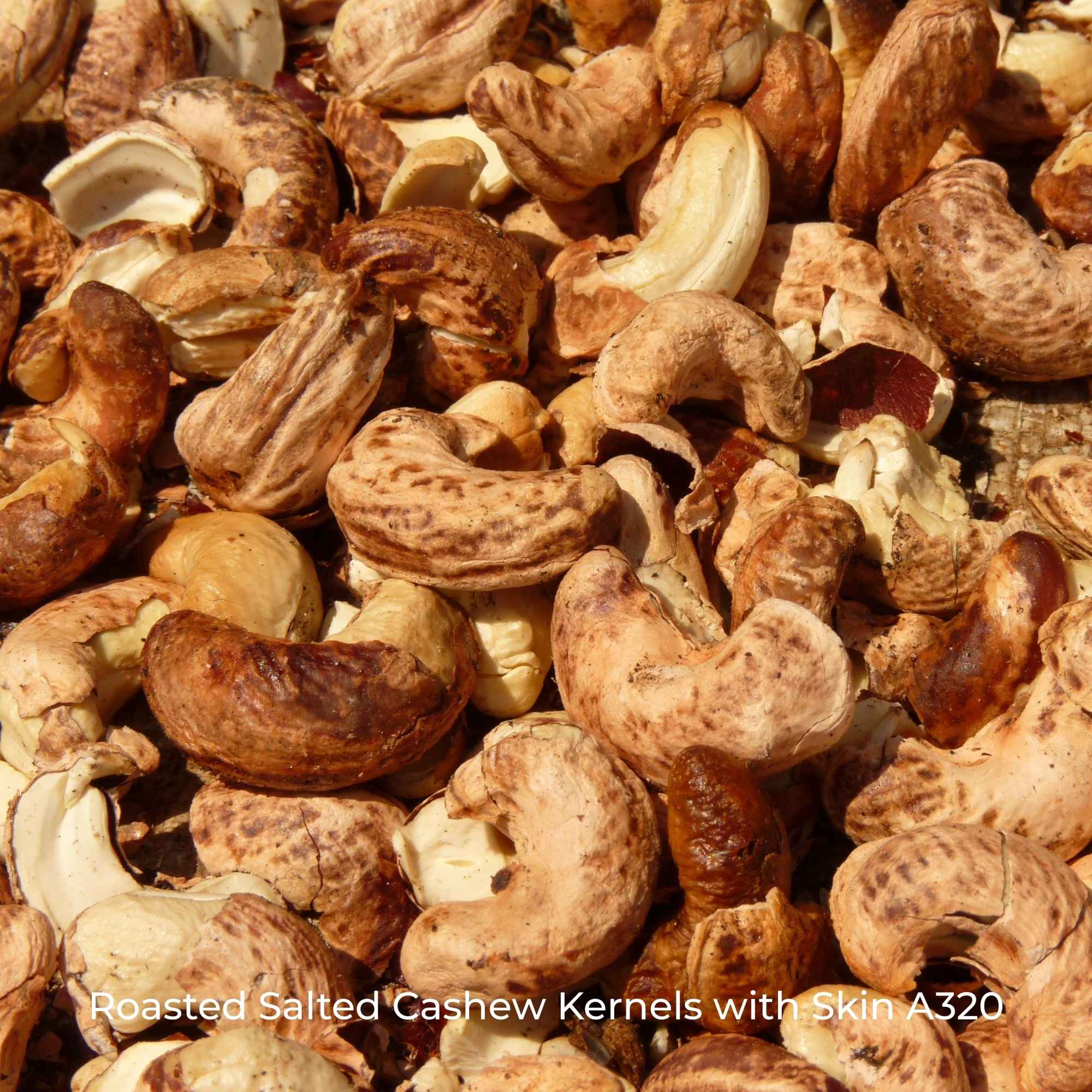 Roasted Salted Cashew Kernels with Skin A320