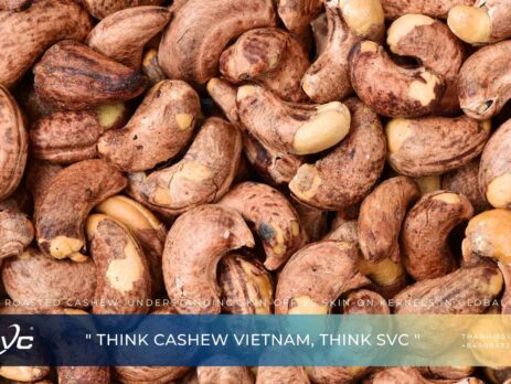 Salted Roasted Cashew: Understanding Skin-off vs Skin-on Kernels in Global Markets