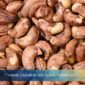 Salted Roasted Cashew: Understanding Skin-off vs Skin-on Kernels in Global Markets