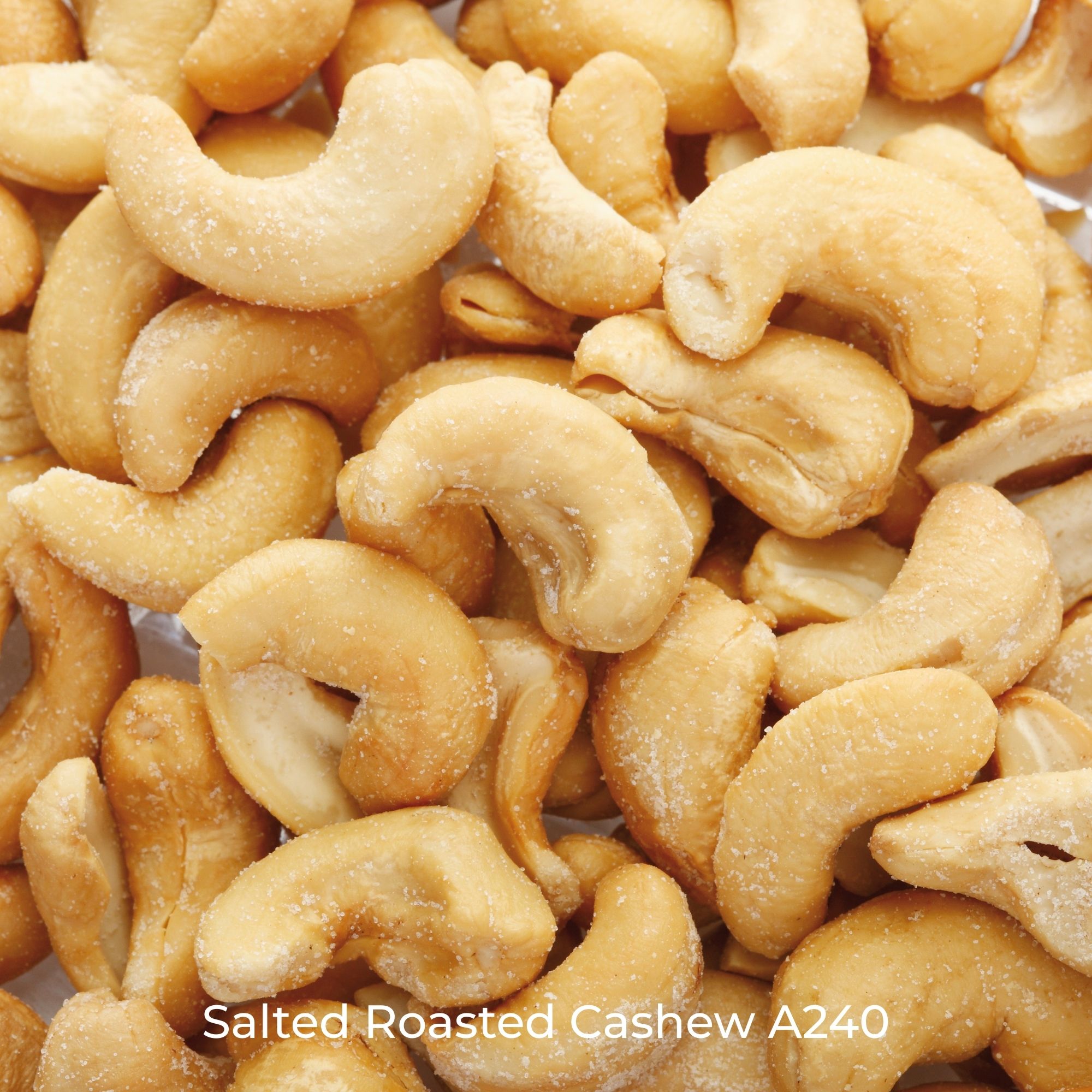 salted roasted cashew nuts A240