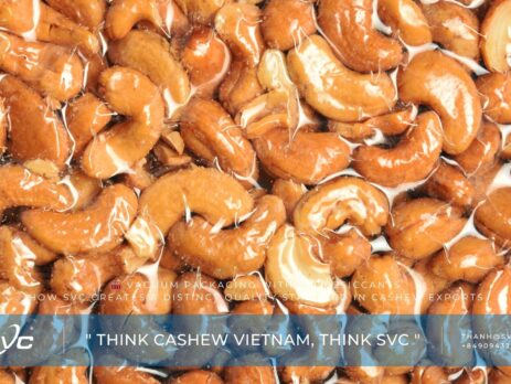 Vacuum Packaging Without Desiccants – How SVC Creates a Distinct Quality Standard in Cashew Exports