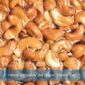 Vacuum Packaging Without Desiccants – How SVC Creates a Distinct Quality Standard in Cashew Exports