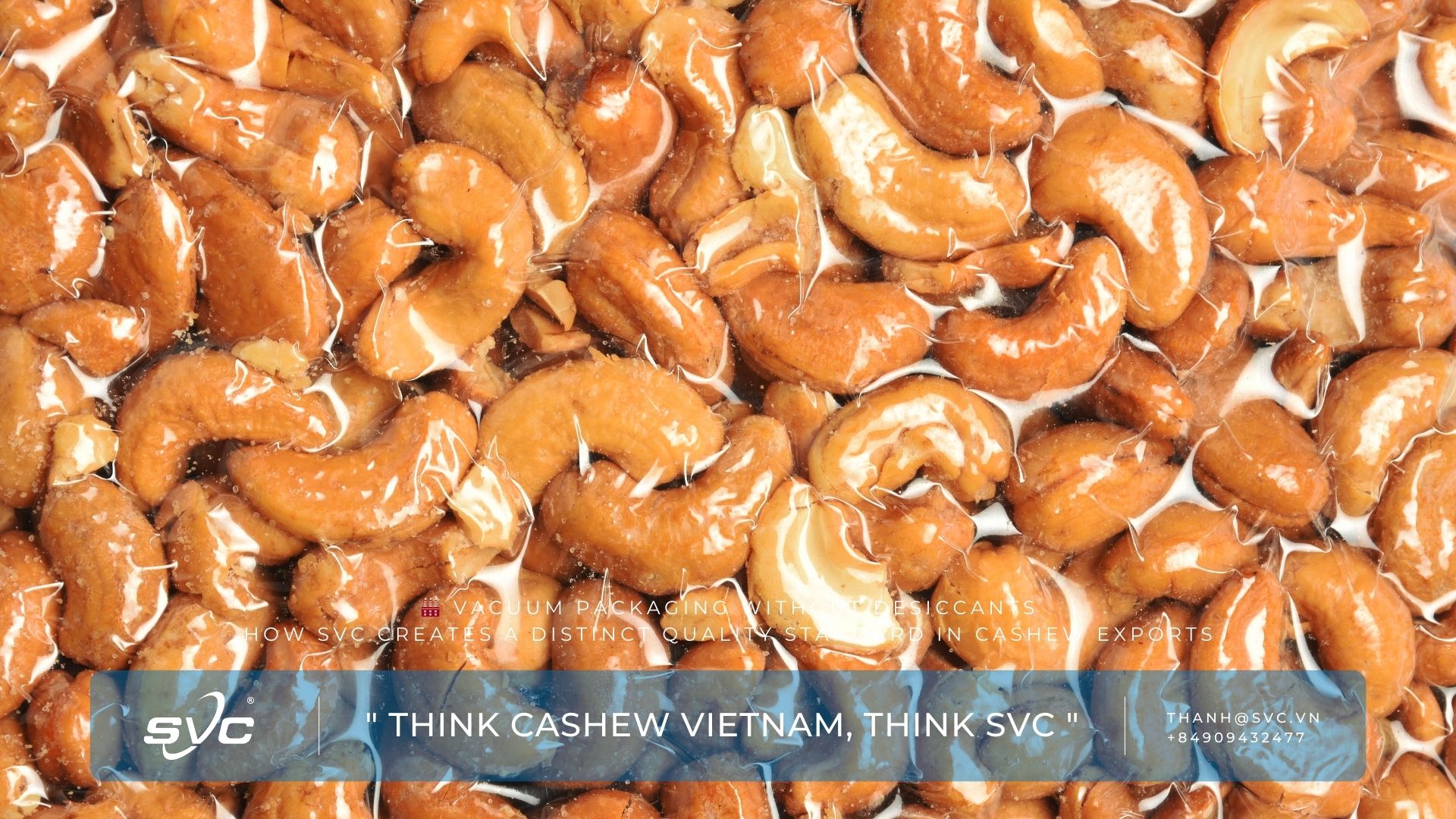 Vacuum Packaging Without Desiccants – How SVC Creates a Distinct Quality Standard in Cashew Exports