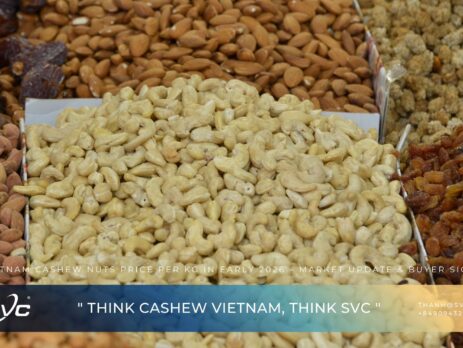 Vietnam Cashew Nuts Price per Kg in Early 2026 – Market Update & Buyer Signals