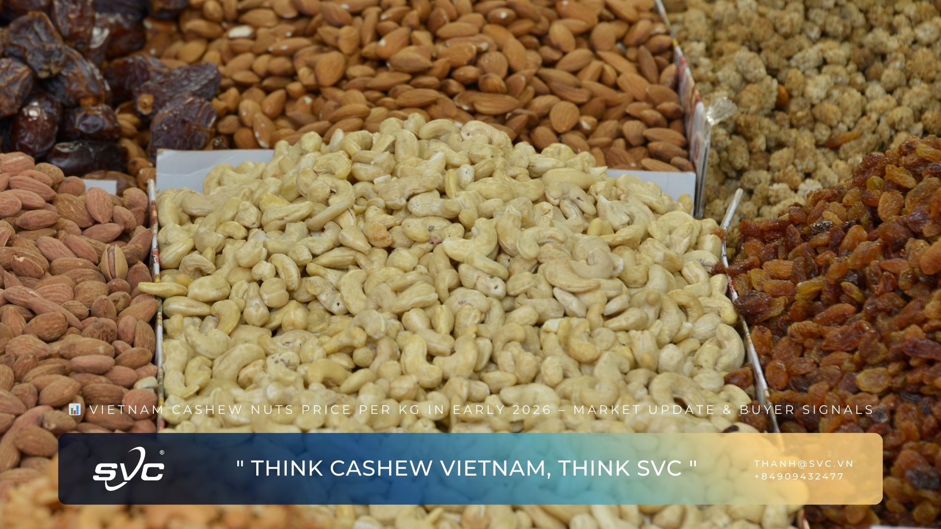 Vietnam Cashew Nuts Price per Kg in Early 2026 – Market Update & Buyer Signals