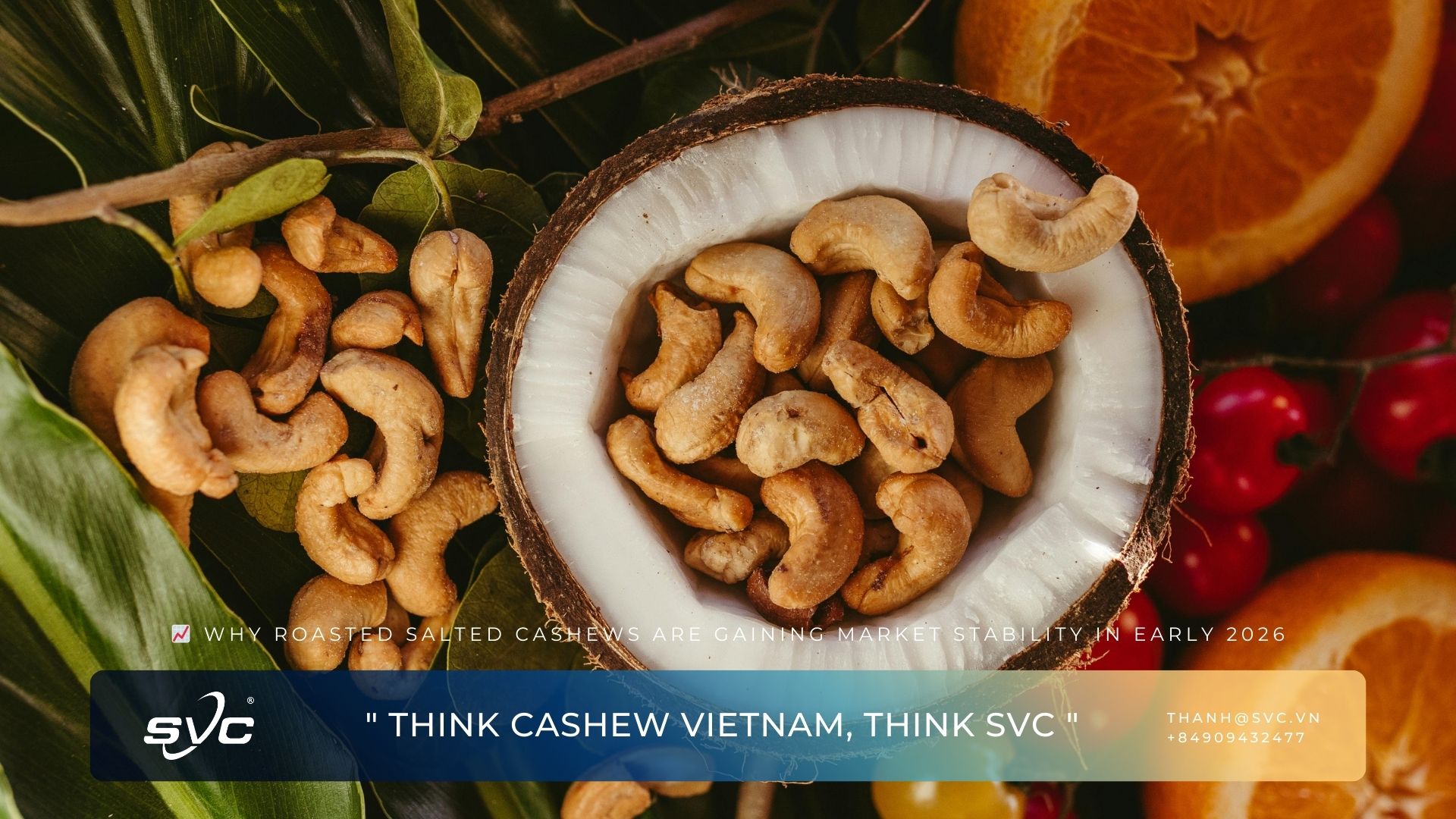 Why Roasted Salted Cashews Are Gaining Market Stability in Early 2026