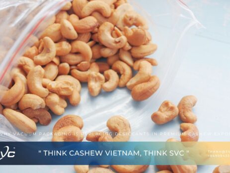 Why Vacuum Packaging Is Replacing Desiccants in Premium Cashew Exports