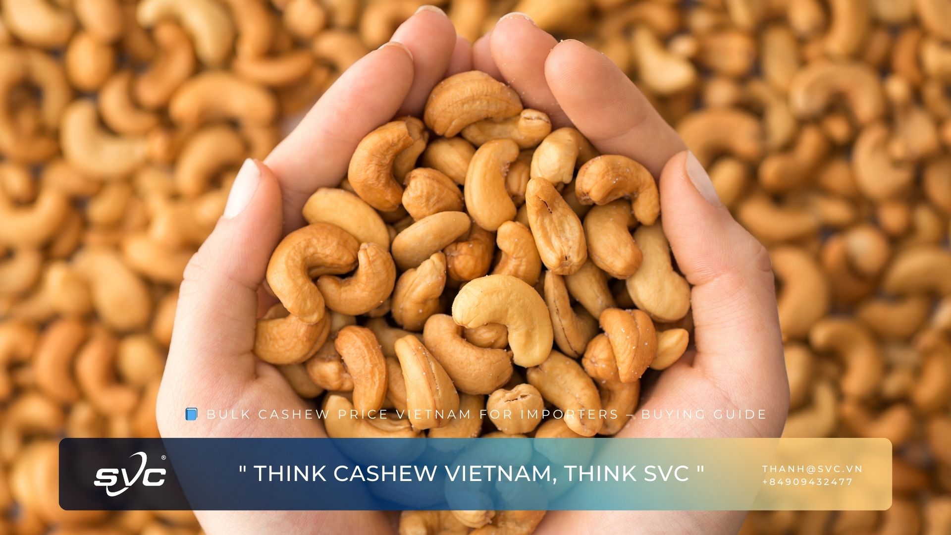 Bulk Cashew Price Vietnam for Importers – Buying Guide
