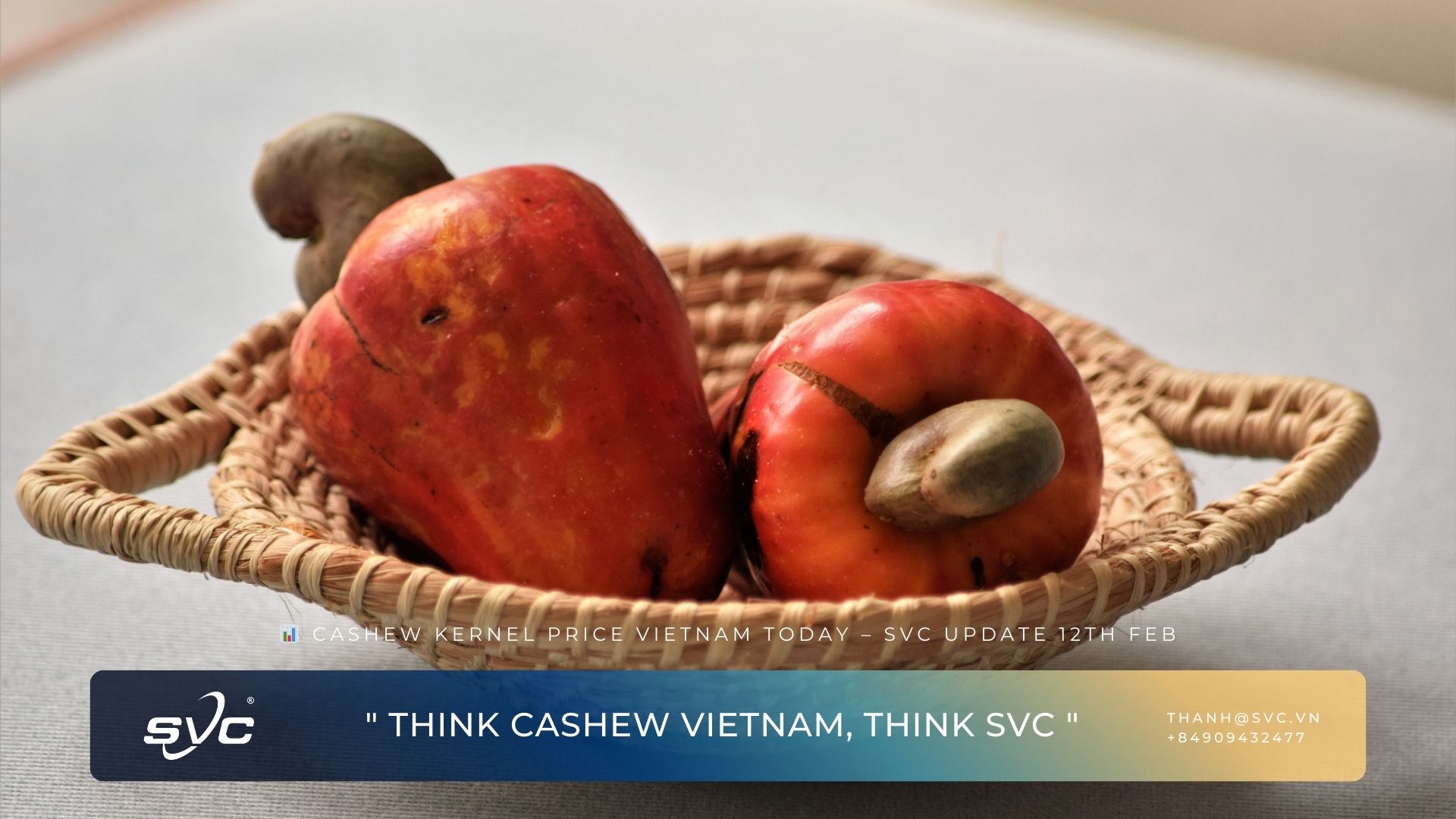 Cashew Kernel Price Vietnam Today – SVC Update 12th Feb