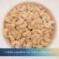 Cashew Kernel WW320 Price per Kg – Export Reference