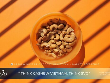 Cashew Nuts Price Today in Vietnam – Market Reference