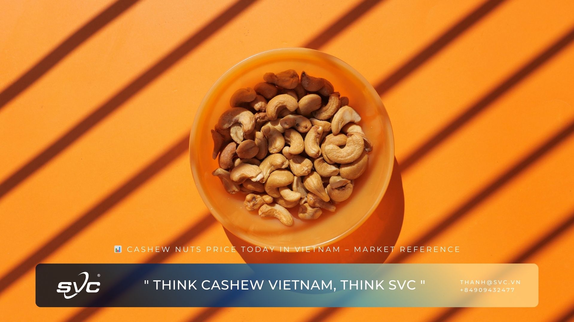 Cashew Nuts Price Today in Vietnam – Market Reference