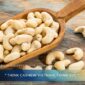Cashew Price per Kg and per Ton – Importers Guide