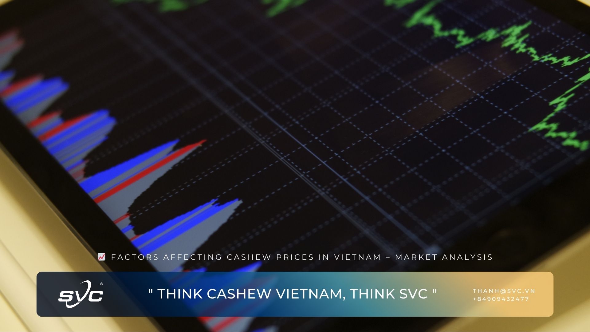 Factors Affecting Cashew Prices in Vietnam – Market Analysis