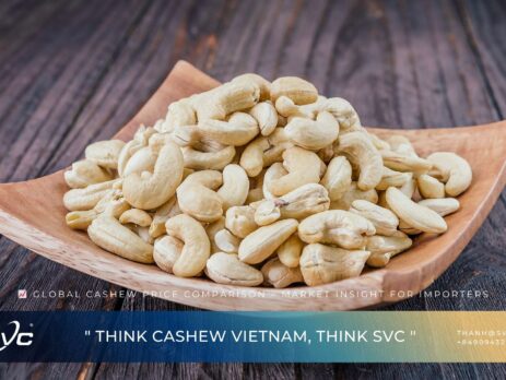 Global Cashew Price Comparison – Market Insight for Importers