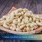 Global Cashew Price Comparison – Market Insight for Importers