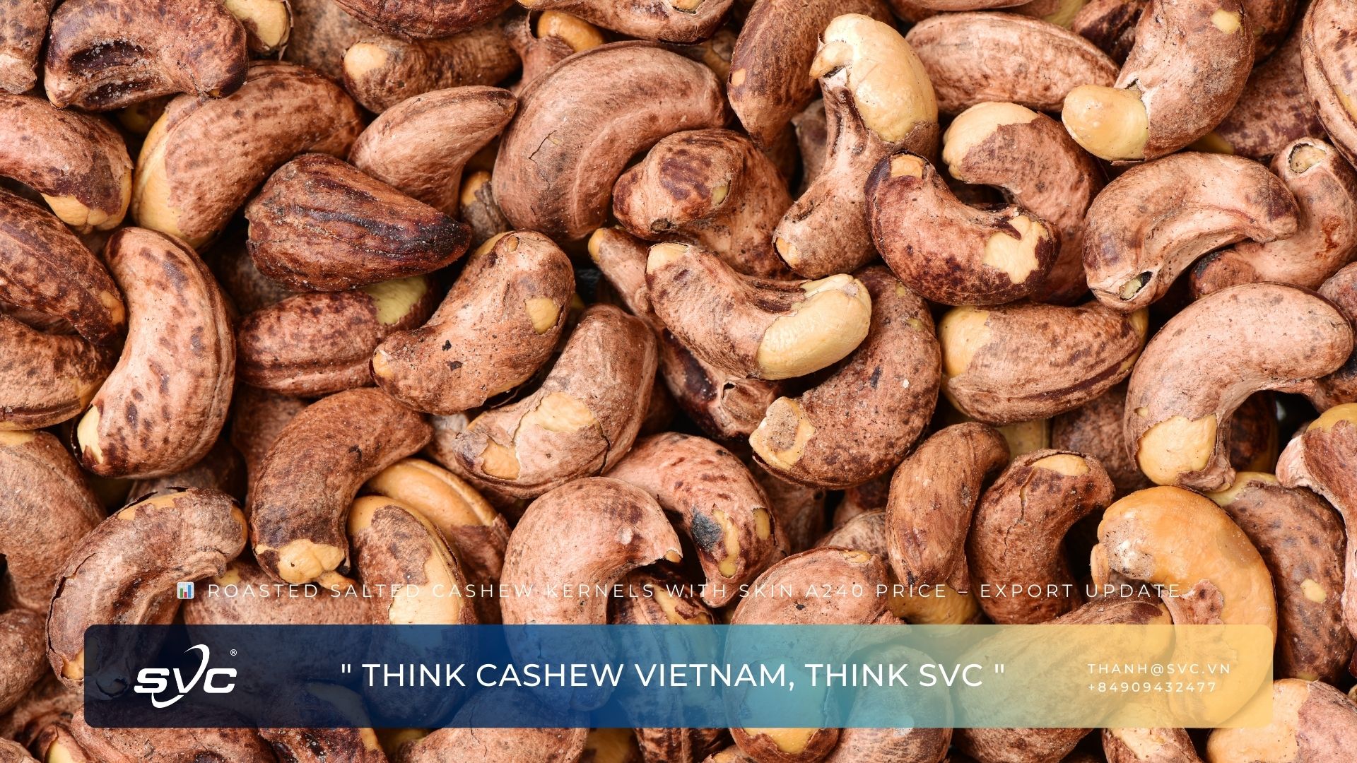 Roasted Salted Cashew Kernels with Skin A240 Price – Export Update