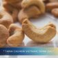 Salted Roasted Cashew A320 Price Update – B2B Market