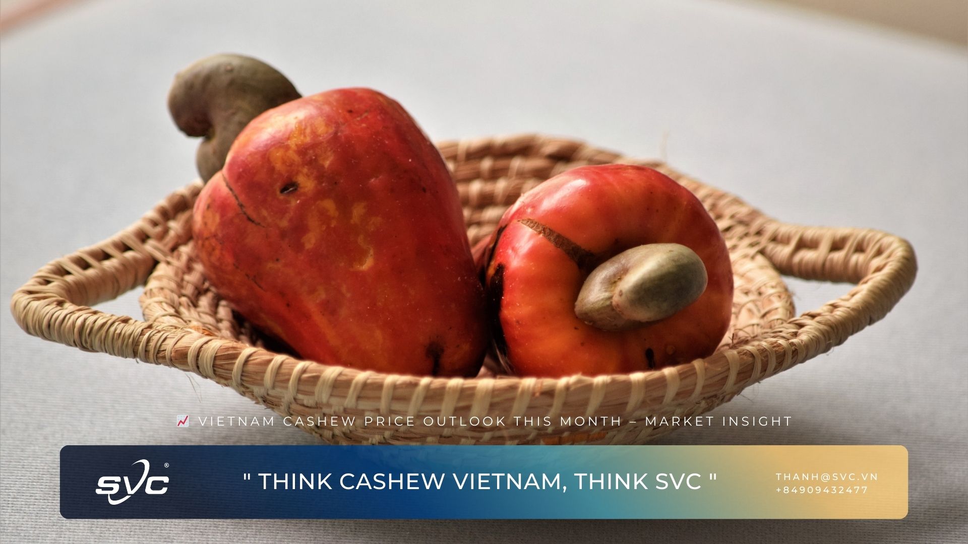 Vietnam Cashew Price Outlook This Month – Market Insight