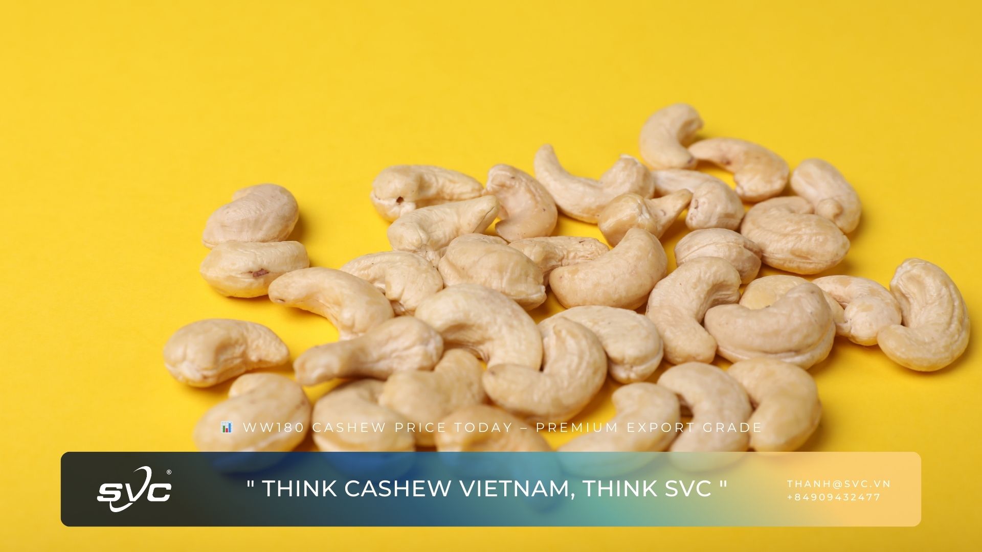WW180 Cashew Price Today – Premium Export Grade