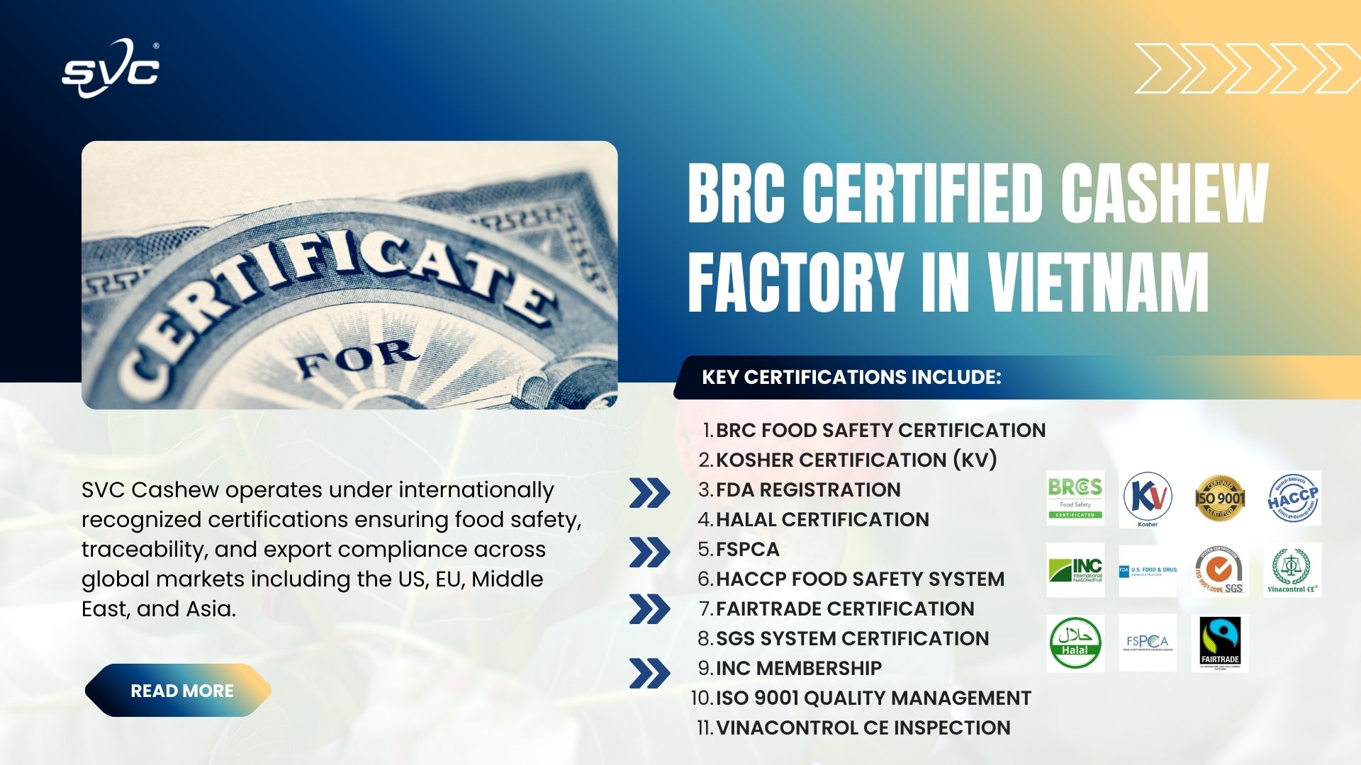 BRC Certified Cashew Factory in Vietnam