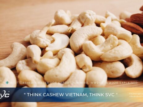 Best Cashew Grades for Export – WW180, WW240, WW320 Explained