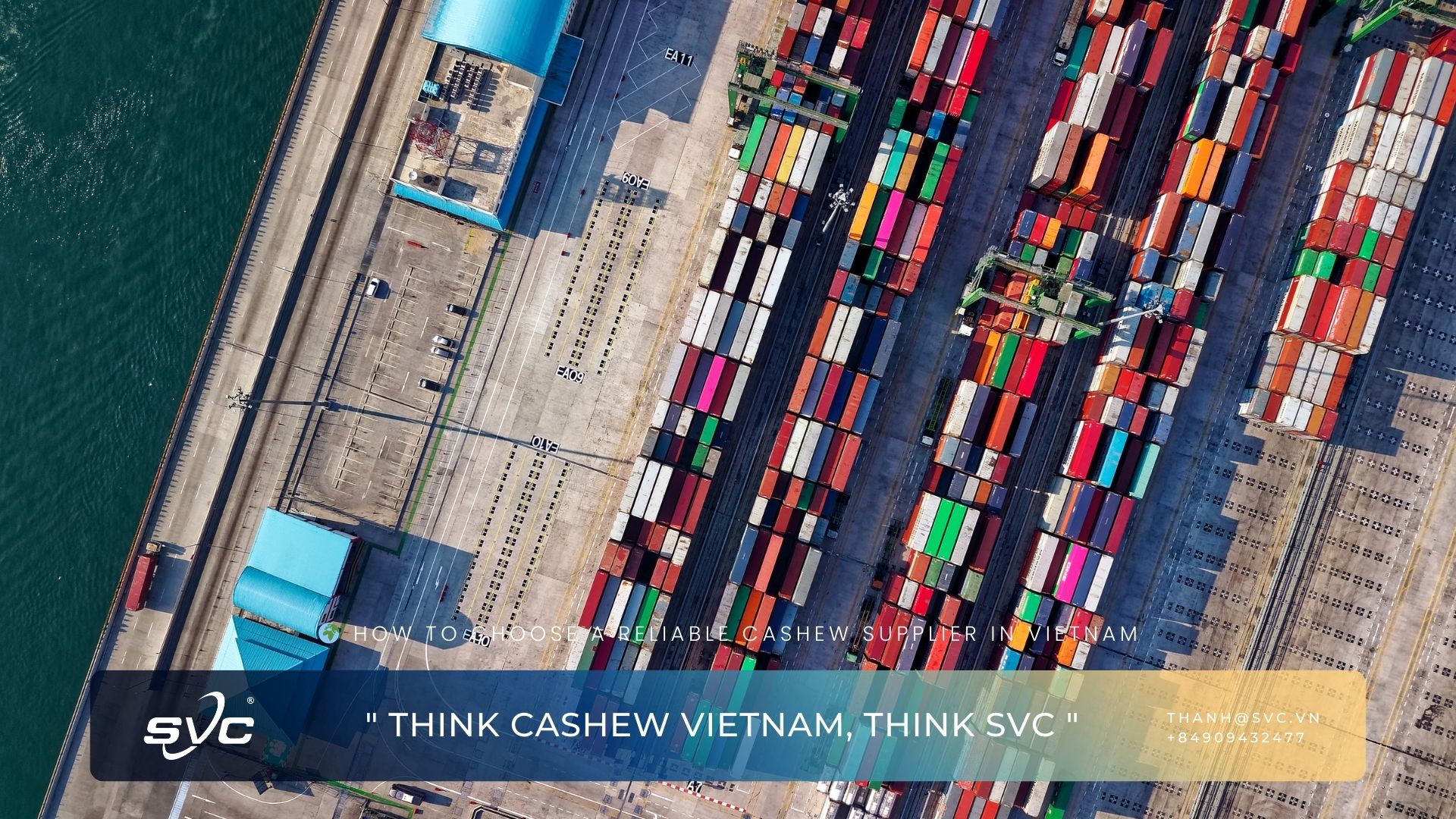 Bulk Cashew Supply vs Retail-Ready Products – Which Model Fits Your Market?