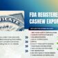 FDA Registered Cashew Exporter – Requirements for US Importers