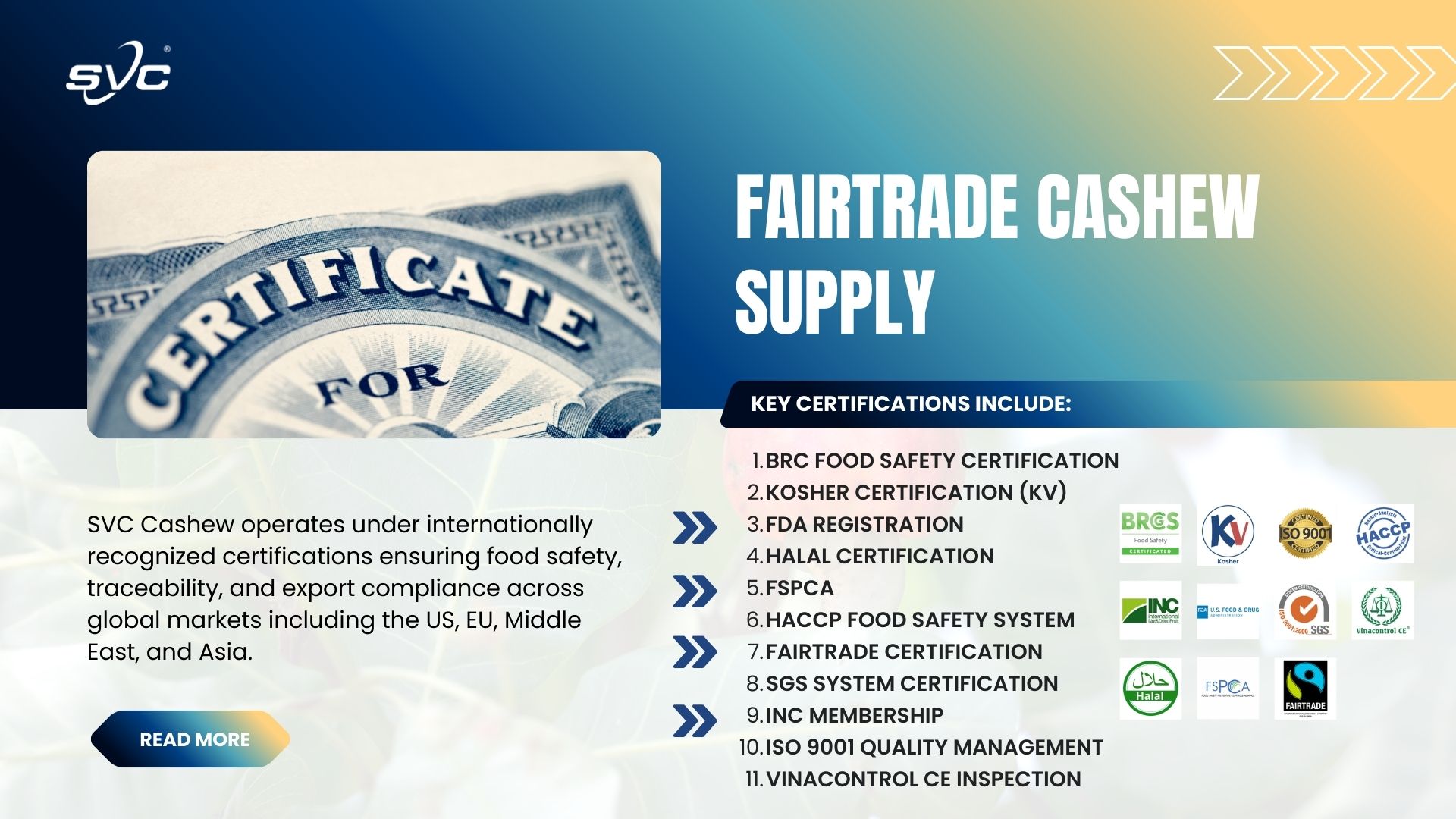 Fairtrade Cashew Supply – Ethical Sourcing and Sustainable Export from Vietnam